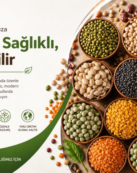 Lezzetli Kuruyemişler